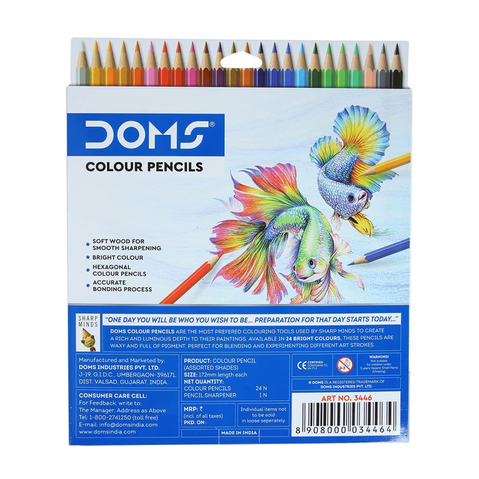 Doms Colour Pencil 24 Shades | Includes Sharpener