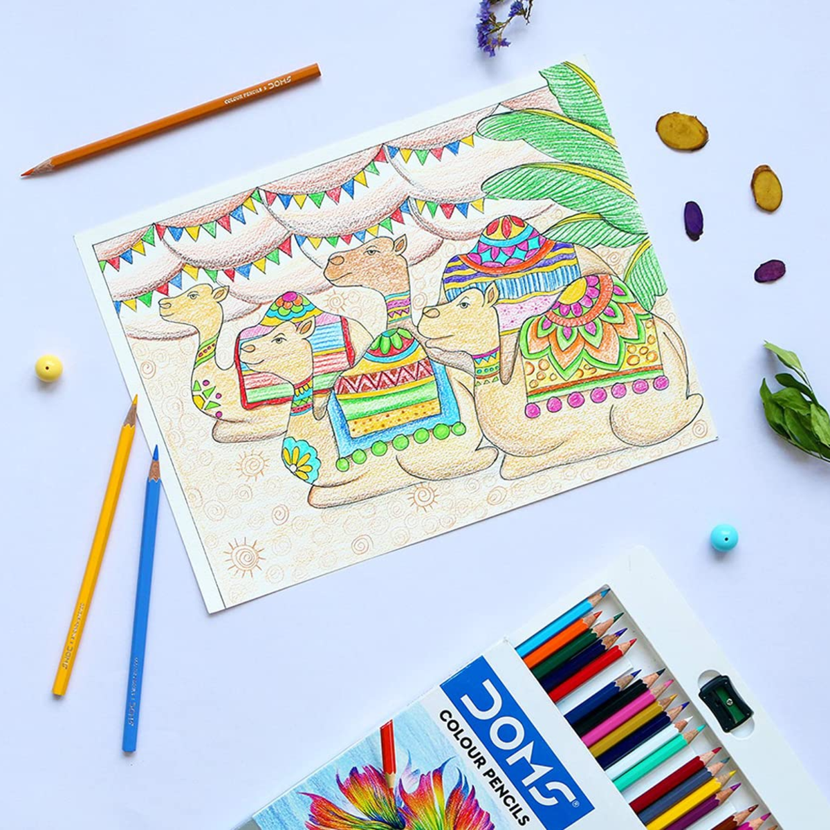 Doms Colour Pencil 24 Shades | Includes Sharpener