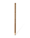 Raw Umber