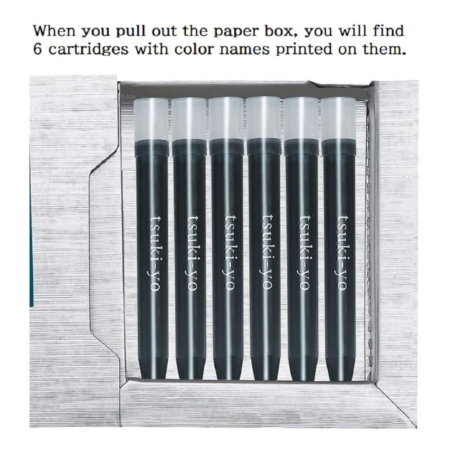 Pilot Iroshizuku Ink Cartridges IRF-6S for Fountain Pen | Pack of 6 cartridges displayed in a box.
