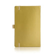 Sheaffer Eternal Shine 90GSM Notebook | Colour - Metallic Gold