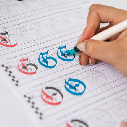 Pilot Parallel Pen | Includes 2 Ink Cartridges and Cleaning Accessories