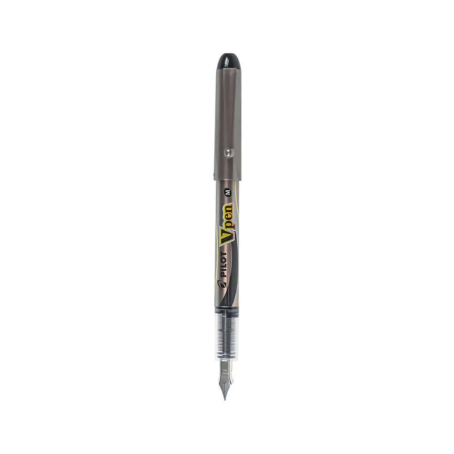 Pilot V Pen Fountain Pen Medium Point