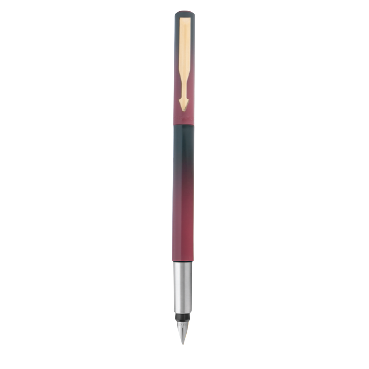 Parker Vector Standard Fusion Fountain Pen Gold Trim | Includes Converter and Cartridge