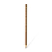 Faber Castell Polychromos Colour Pencil - Single Pencil - Brown Colour Shades - Raw Umber - Colour Pencil