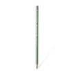 Faber Castell Polychromos Colour Pencil - Single Pencil - Green Colour Shades - Earth Green - Colour Pencil